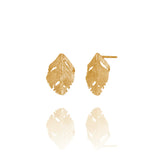 RAVEN EARRINGS golden - Shopicelandic